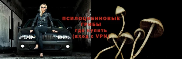 мяу мяу мука Алексеевка