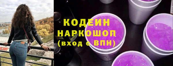 хмурый Лиски